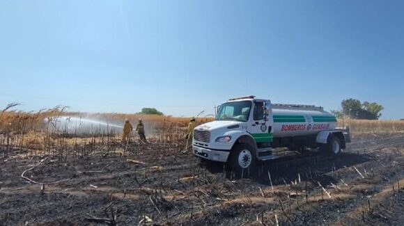 Se queman 10 hectáreas de maíz en pie en Guasave; mayoría de incendios son causados por acarreadores