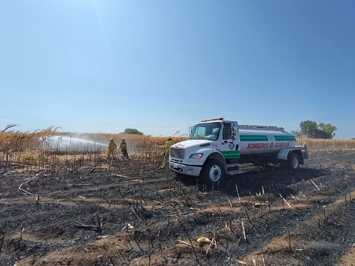 Se queman 10 hectáreas de maíz en pie en Guasave; mayoría de incendios son causados por acarreadores