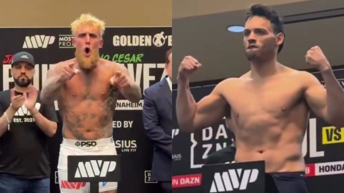 julio cesar chavez jr y jake paul