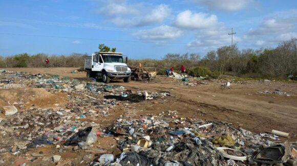 Hacen limpieza en el sistema lagunar Huizache-Caimanero por el Día Mundial del Medio Ambiente