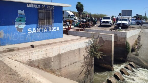 Productores del Módulo Santa Rosa concluyen cosechas; lograron sus riegos y levantar el maíz