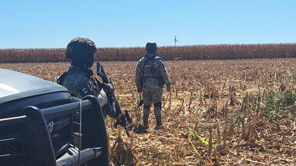 Encuentran cadáver putrefacto de mujer en Navolato
