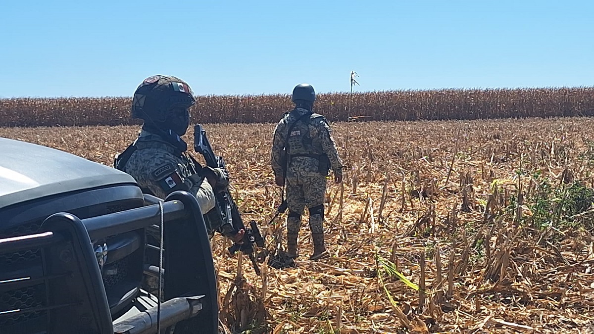 Encuentran cadáver putrefacto de mujer en Navolato