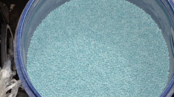 FGR destruye más de un millón y medio de pastillas de fentanilo y toneladas de químicos decomisados en Sinaloa