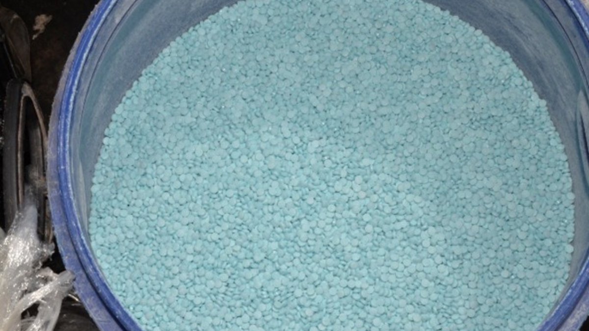 pastillas de fentanilo en sinaloa