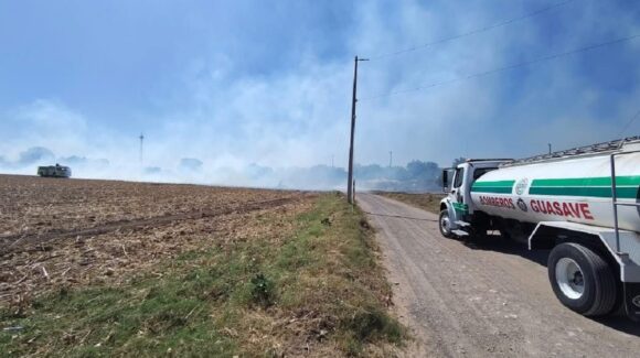 Procederá Ecología en Ahome con cuatro sanciones por quema de soca en predios agrícolas