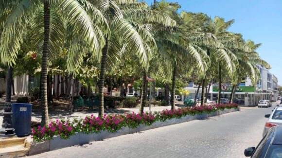 El CORCEHM reforesta con nuevas palmeras la Plazuela de los Leones en Mazatlán