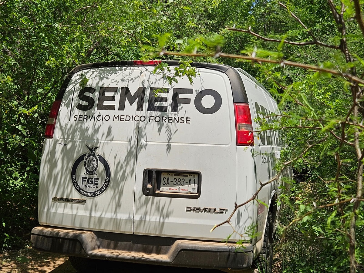 Semefo