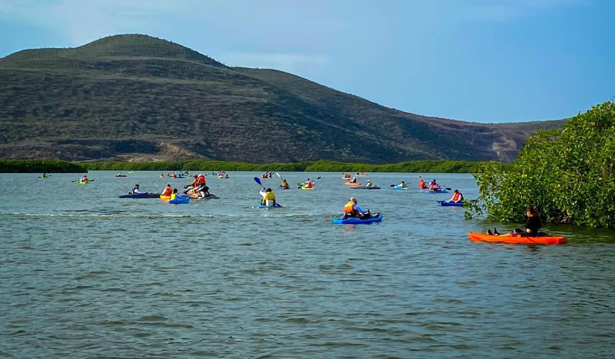 kayak