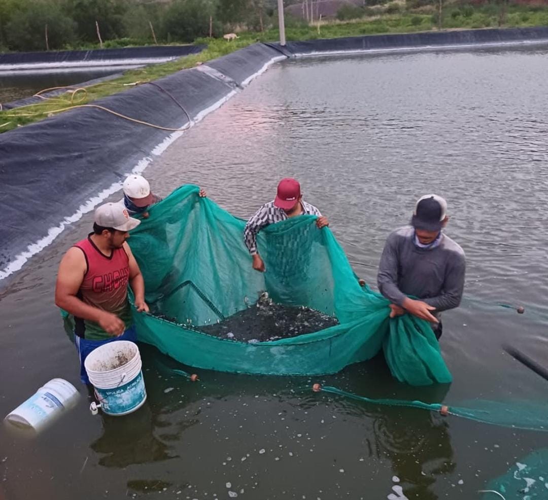 Actividad pesquera y acuícola en Sinaloa
