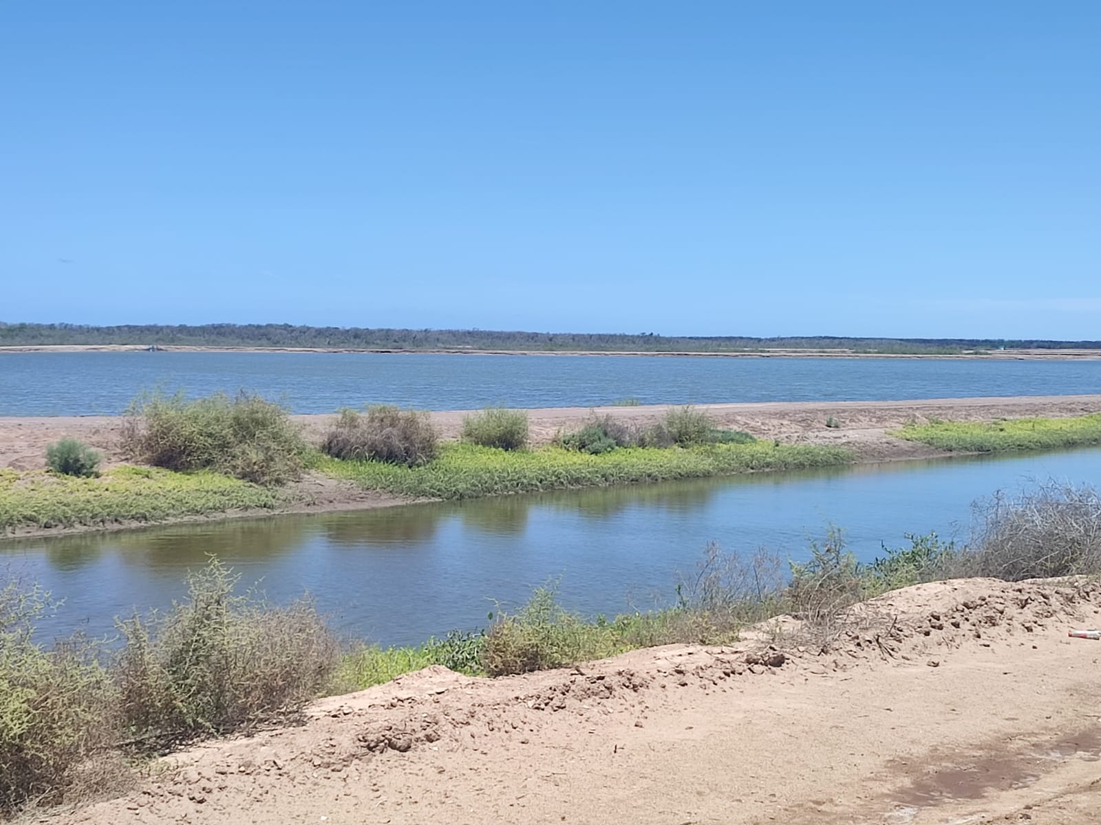 Acuacultores de Sinaloa registran 97 por ciento de avance de la cosecha de camarón de granja del primer ciclo