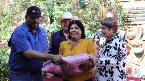 Apoyan a temporaleros de Guasave con semilla de maíz nativo