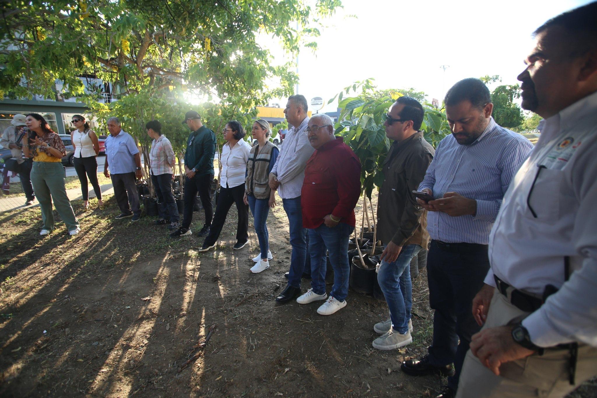 Arranca Campaña de Reforestación y Embellecimiento por un Mazatlán verde