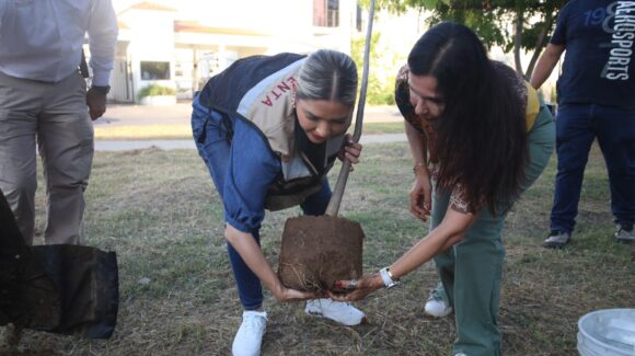 Arranca Campaña de Reforestación y Embellecimiento por un Mazatlán verde; 5 mil 500 árboles será la meta