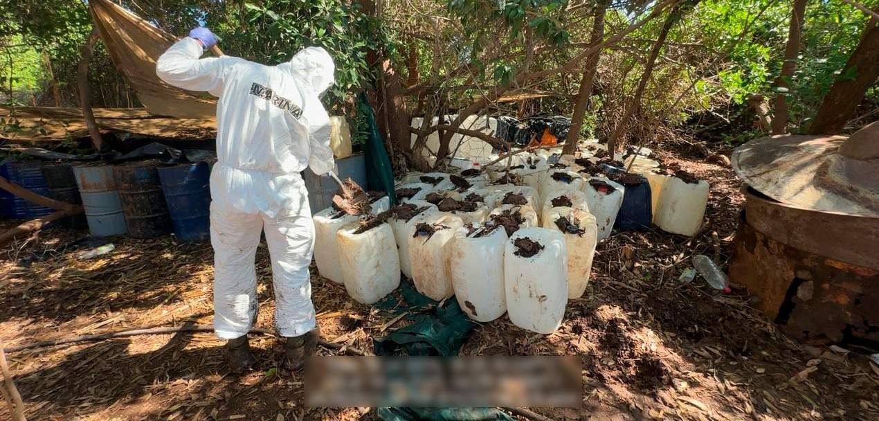 Aseguran droga y seis laboratorios desmantelados en Navolato