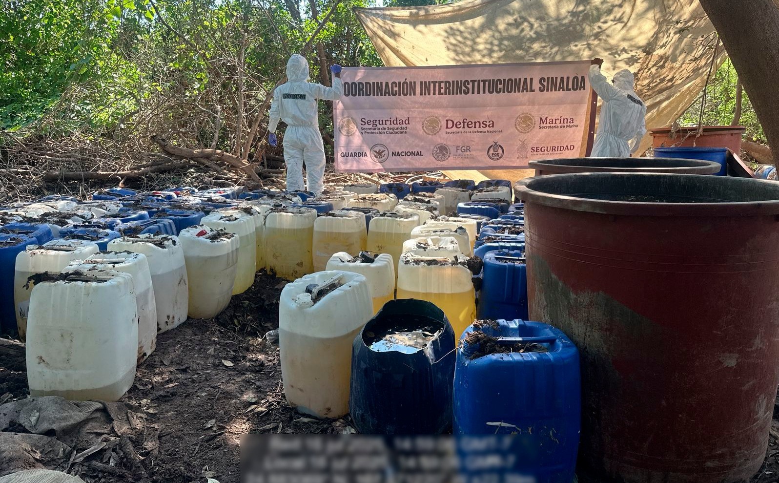 Aseguran droga y seis laboratorios desmantelados en Navolato