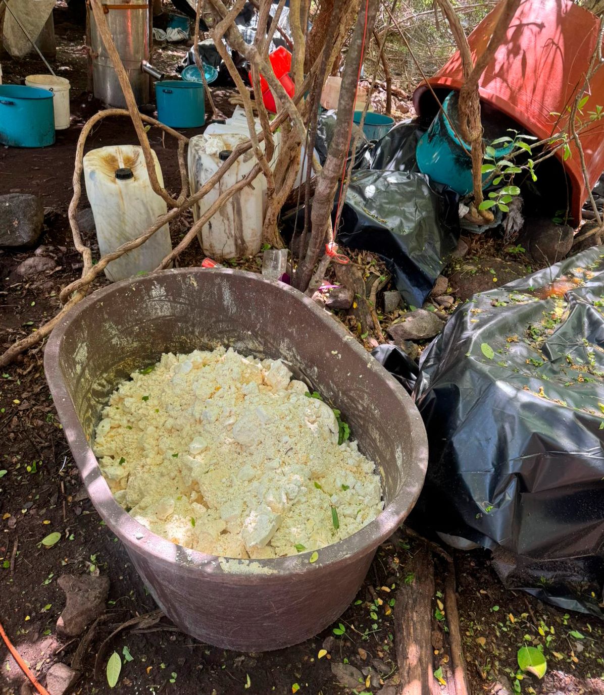 Aseguran laboratorio de drogas en Higueras de Abuya