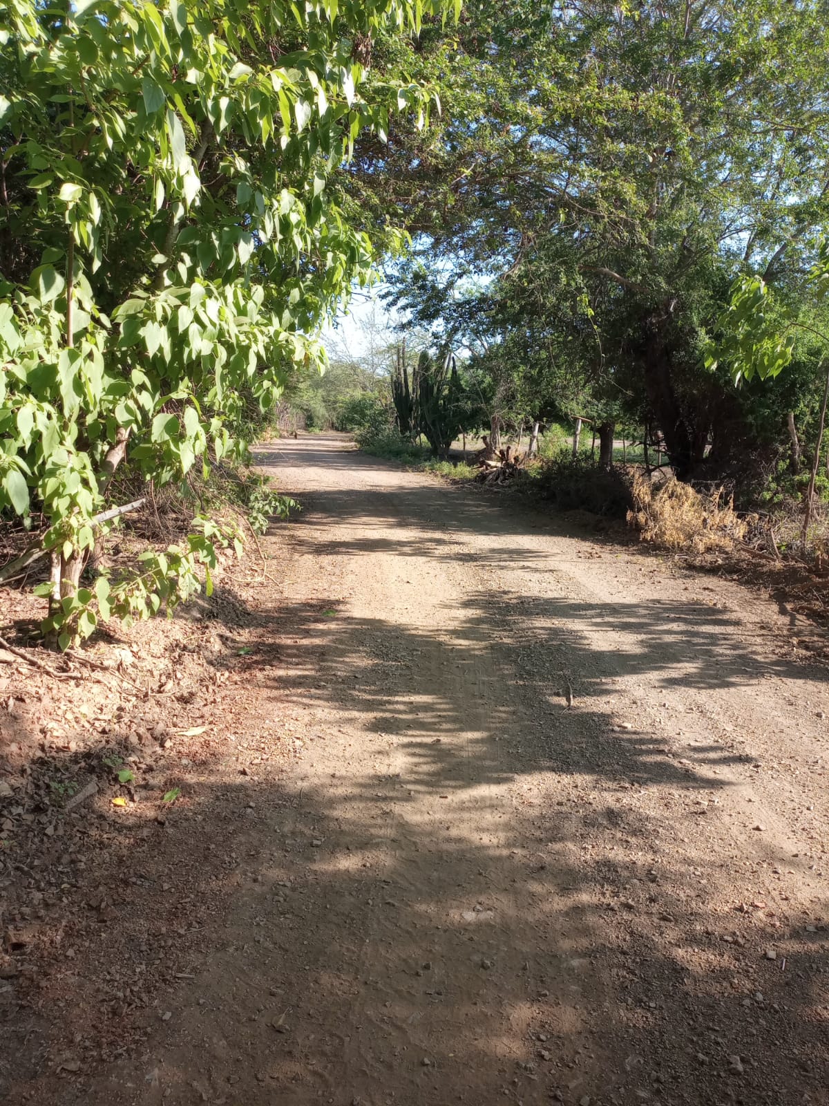Caminos raspados tras las lluvias en Mazatlán