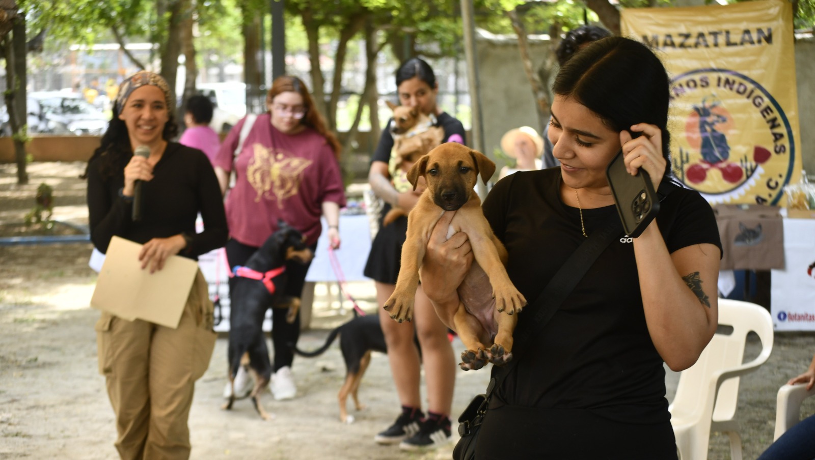 Celebran en Mazatlán el Día Mundial del Perro con jornada de adopción