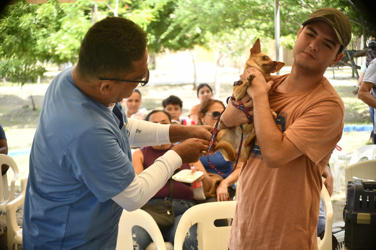 Celebran en Mazatlán el Día Mundial del Perro con jornada de adopción