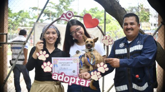 Celebran en Mazatlán el Día Mundial del Perro con jornada de adopción “Huellitas del Bienestar”