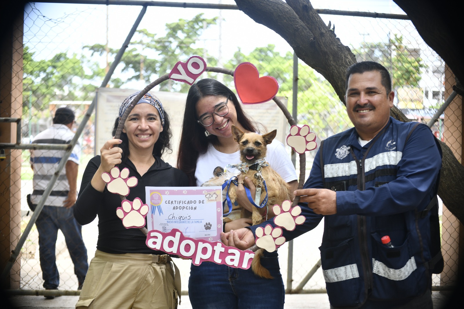 Celebran en Mazatlán el Día Mundial del Perro con jornada de adopción