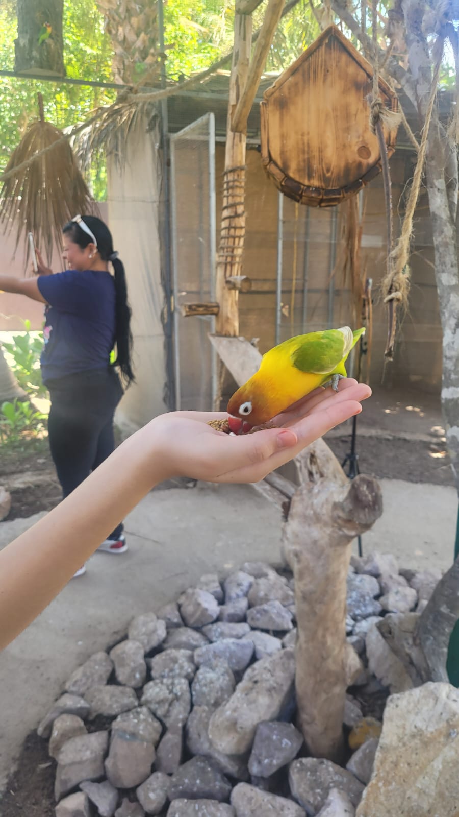 Conviértete en explorador visitando el Gran Acuario Mazatlán