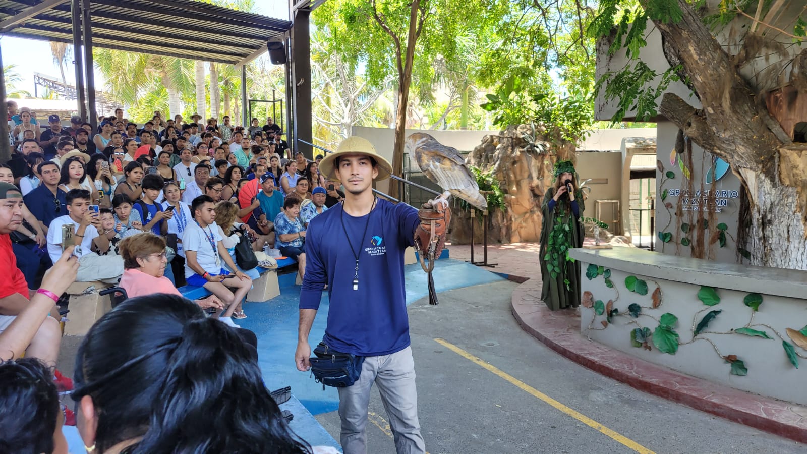 Conviértete en explorador visitando el Gran Acuario Mazatlán