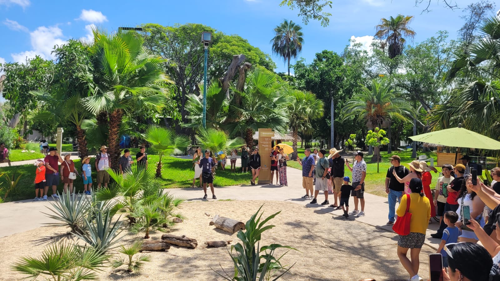 Conviértete en explorador visitando el Gran Acuario Mazatlán