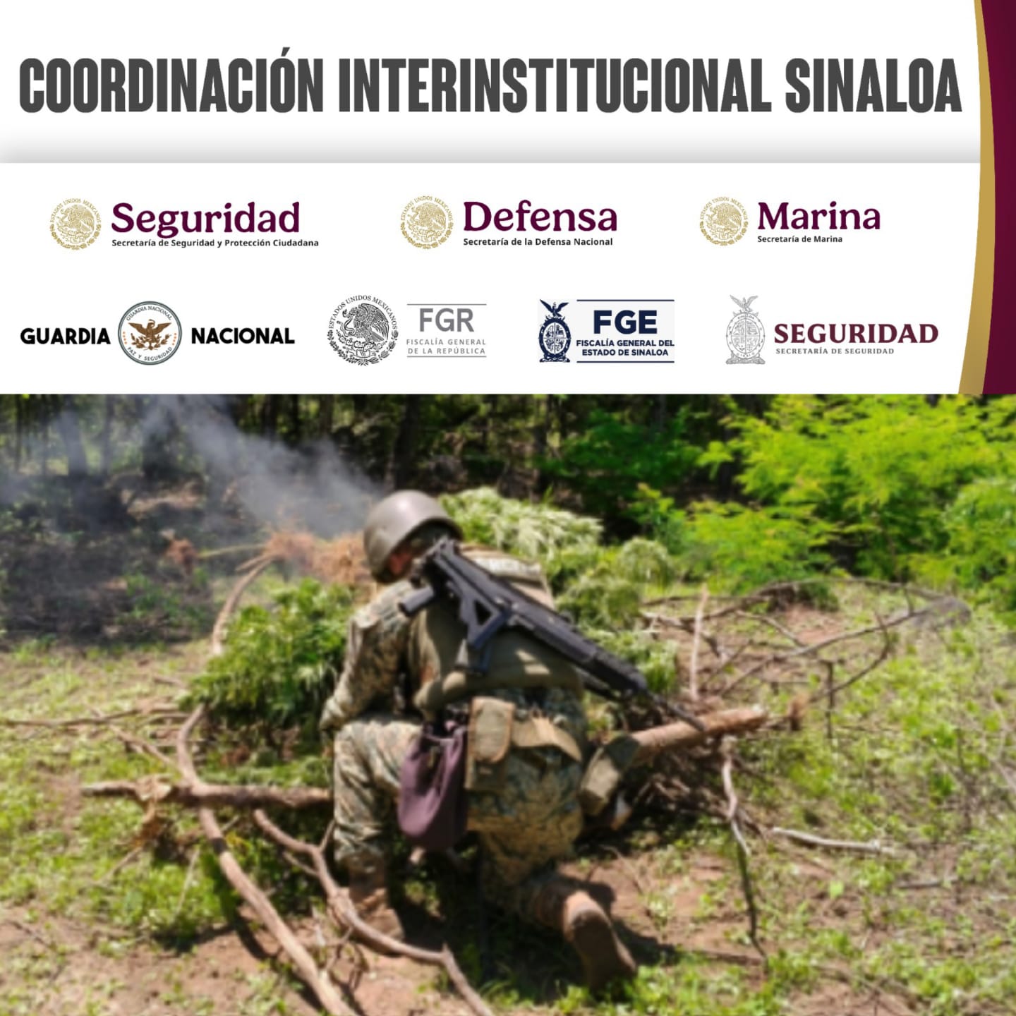 Desmantelan narcolaboratorios en San Ignacio