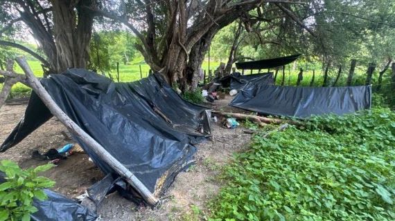 Desmantelan narcolaboratorios en San Ignacio