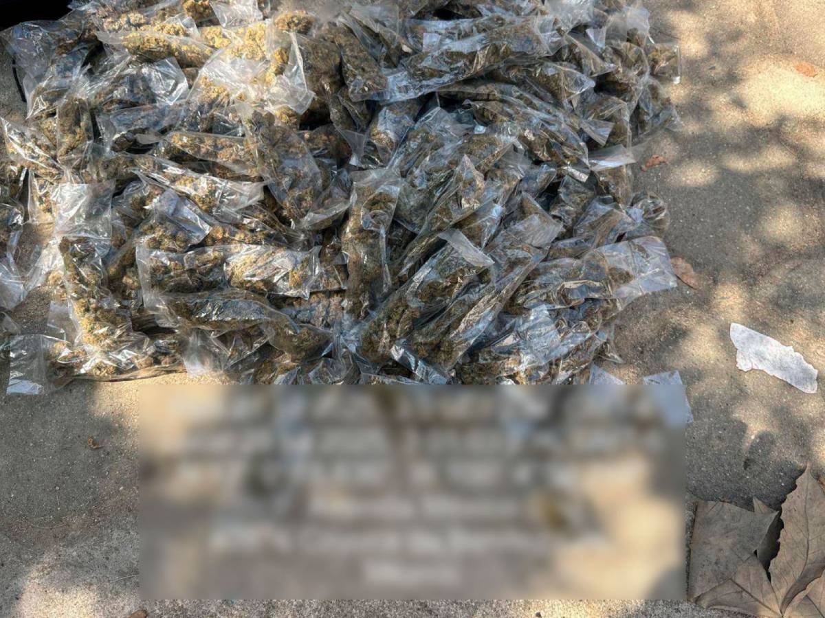 Detienen generadores de violencia en Coyuca de Benítez tras operativo