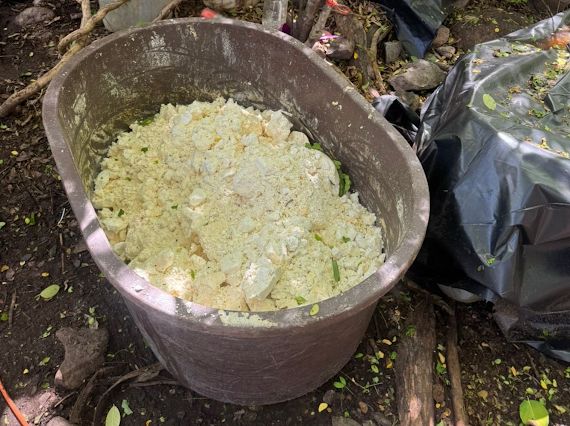 En distintos operativos en Culiacán inhabilitan laboratorios y áreas de concentración