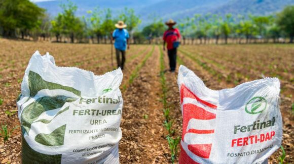 Del 28 de julio al 1 de agosto: regístrate al programa Fertilizantes para el Bienestar