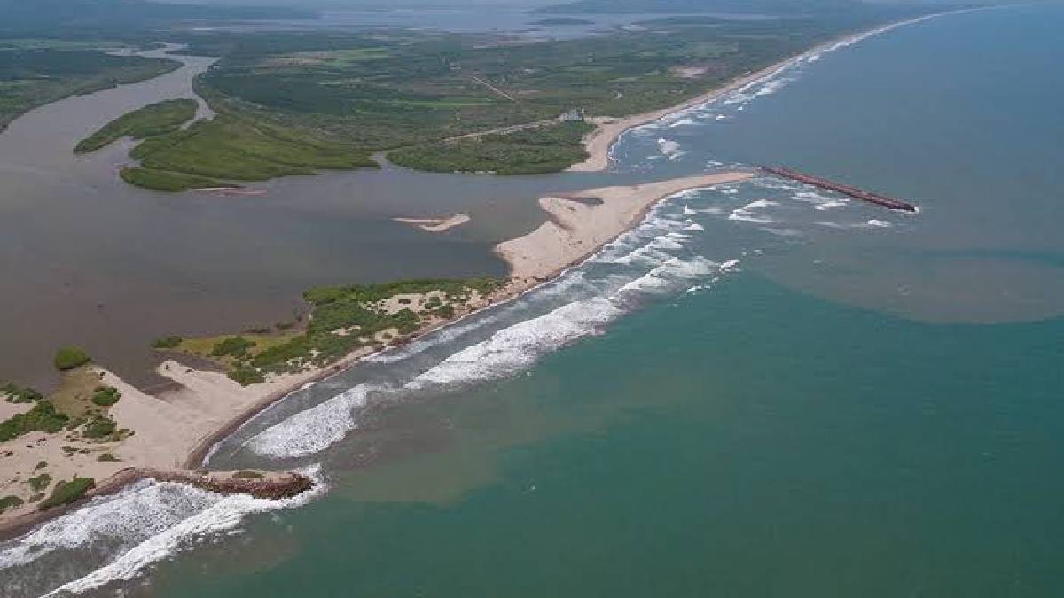 Huizache Caimanero
