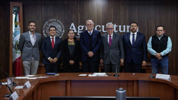 MASECA comprará 200 mil toneladas de maíz blanco a Sinaloa; se activará la comercialización: Agricultura