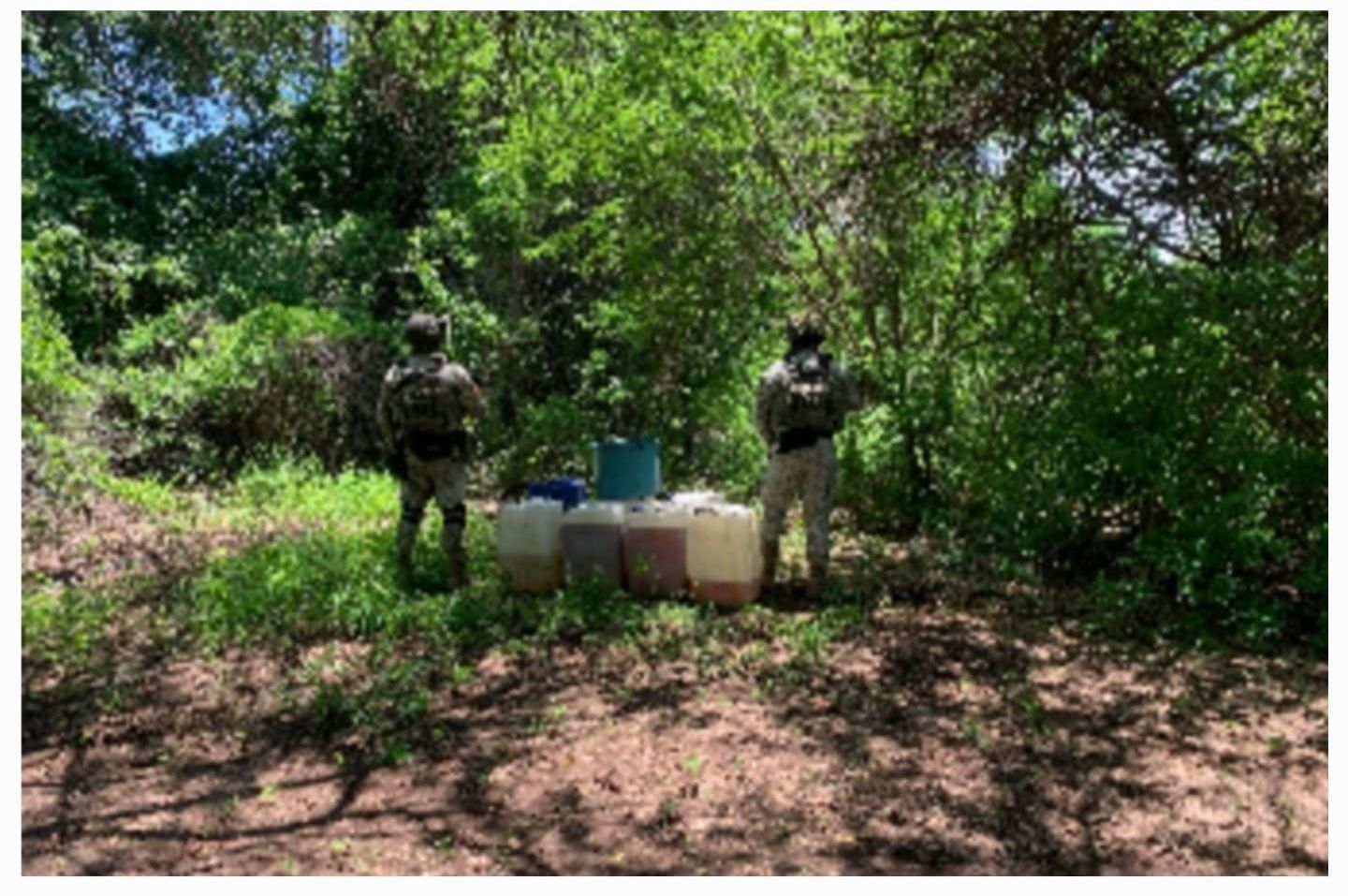 Militares destruyen 3 áreas de concentración de sustancias para elaborar droga en Culiacán y Cosalá