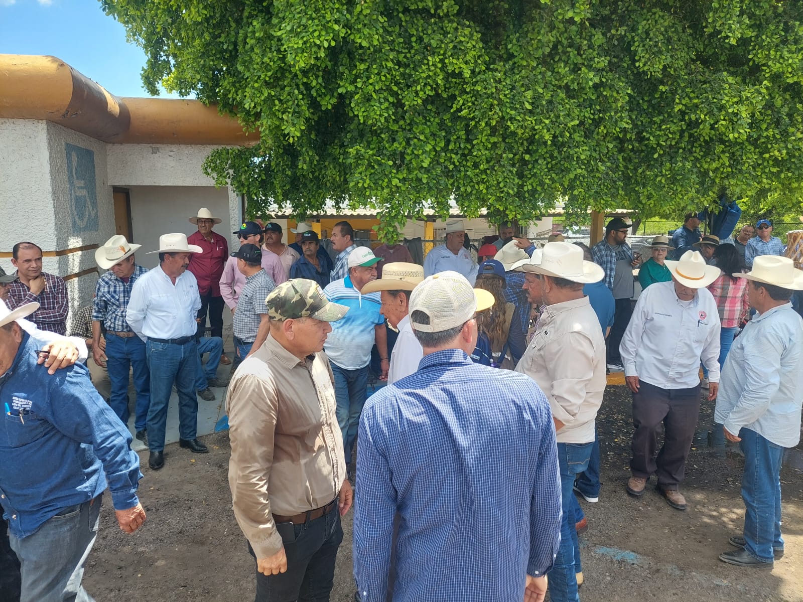 Productores se manifiestan en la caseta Las Brisas, en Alhuey, Angostura