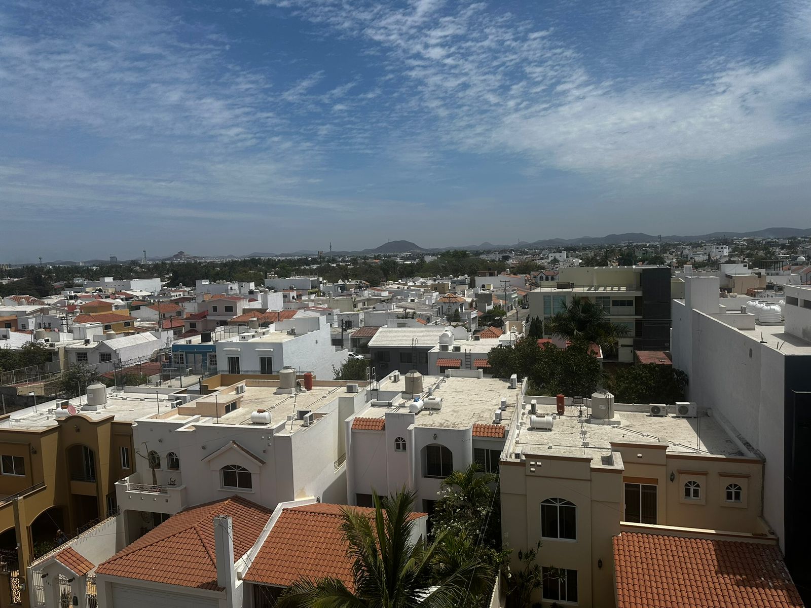 Sector Inmobiliario en Sinaloa