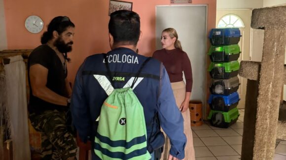 Si acumulas perros o gatos hay que tenerles condiciones, llama regidora en Mazatlán ante focos de infección
