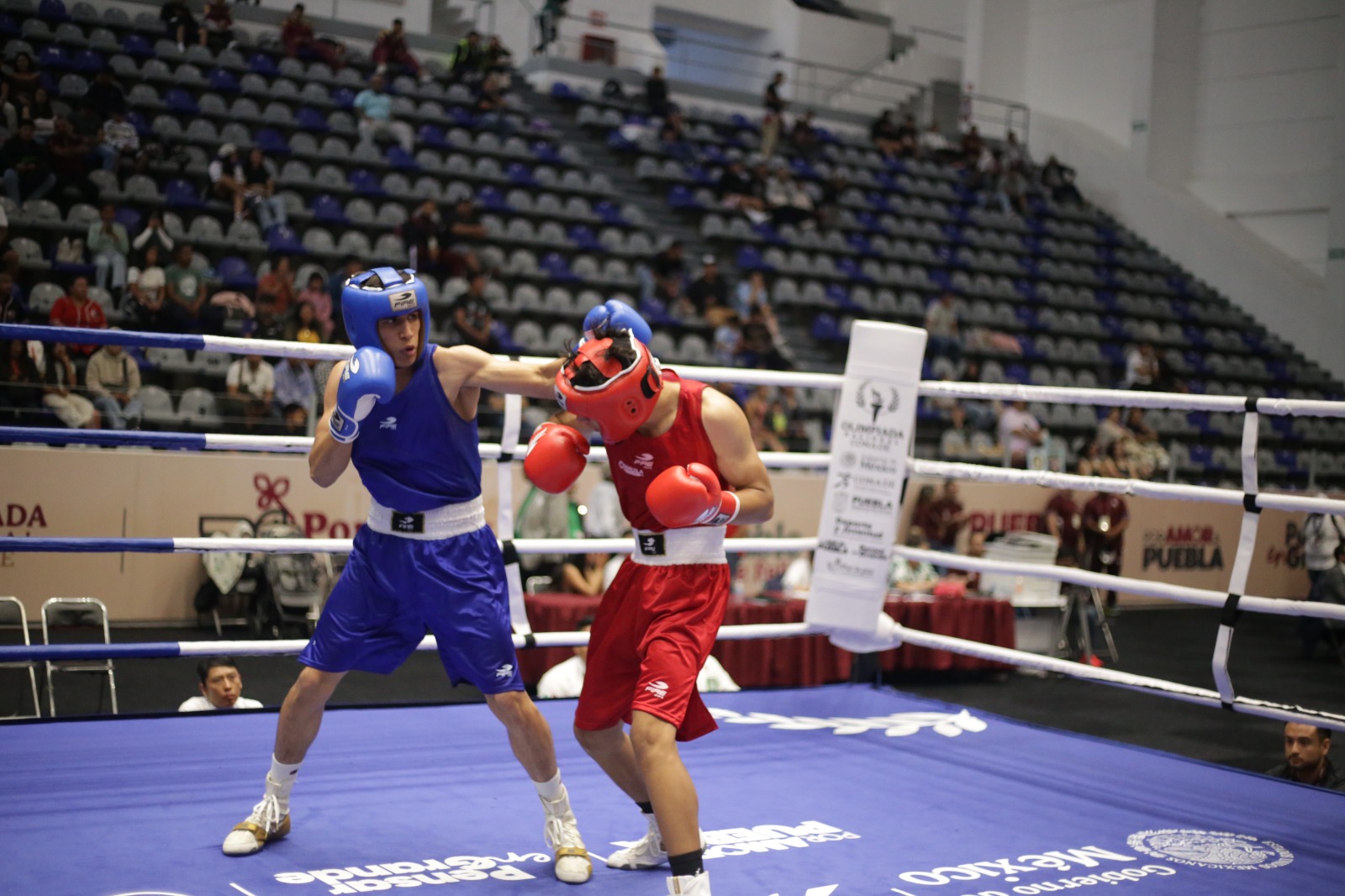 Sinaloa sigue sumando medallas en boxeo de Nacionales Conade 2025