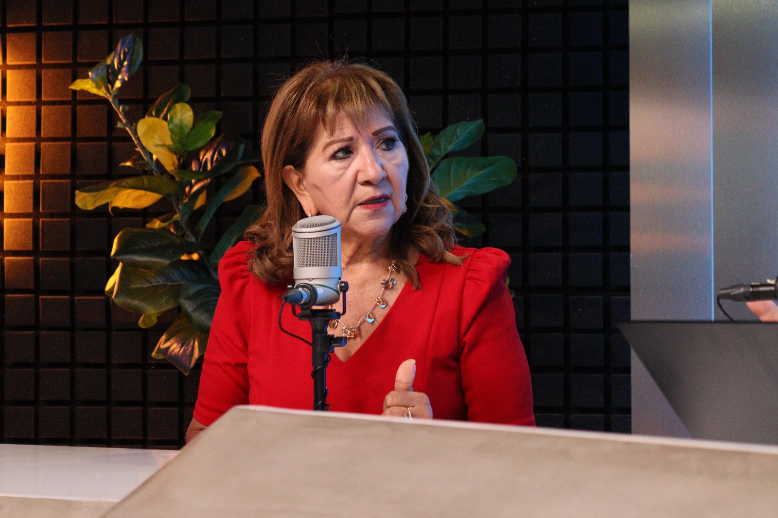 Tere Guerra Ochoa en entrevista en Los Noticieristas