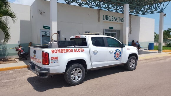 Hombre resulta con múltiples picaduras de abeja en Elota