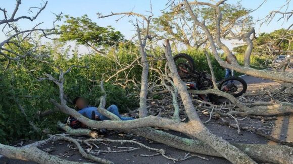 Motociclista resulta herido tras chocar contra un árbol caído en Walamo