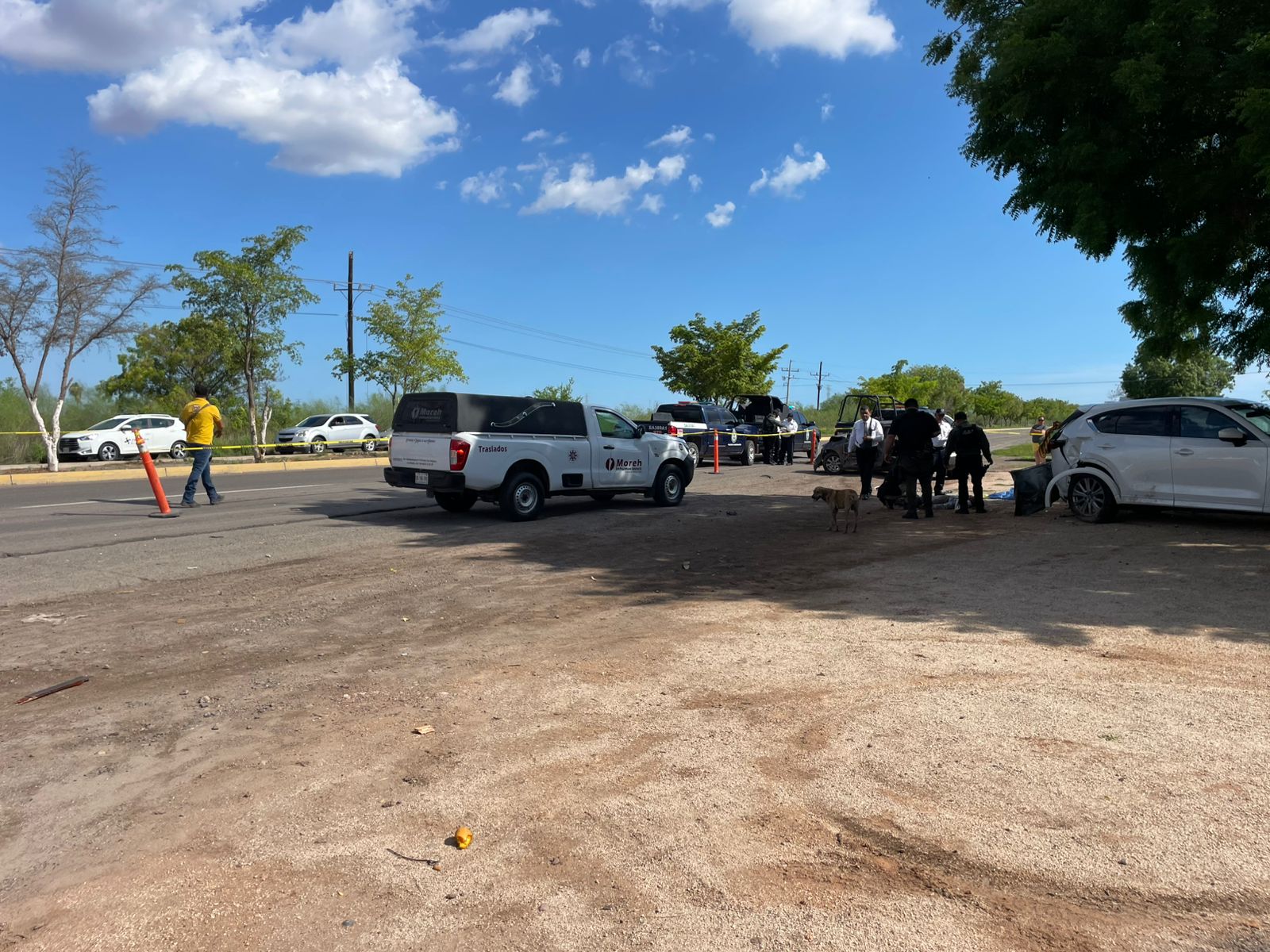 Adulto mayor pierde la vida tras ser atropellado en Campo 4
