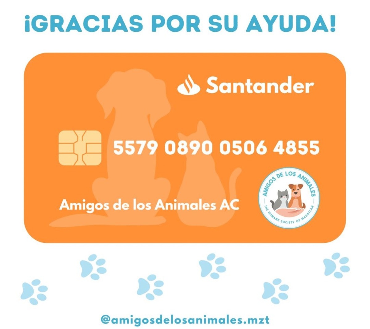 Amigos de los Animales solicita donativos para el pago de su recibo de luz