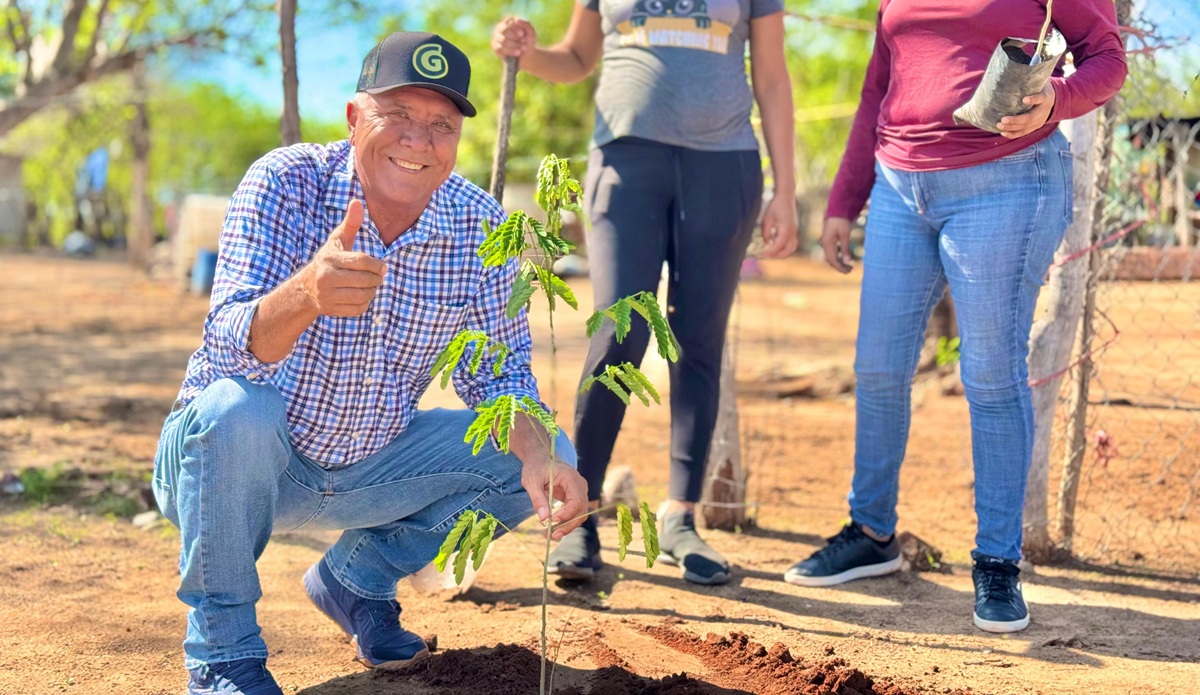 Arborización en jornadas por la paz para El Fuerte y Choix