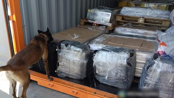Interceptan en SLP un tractocamión de Texas, que llevaba 80 paquetes de cocaína escondidos en una caja seca
