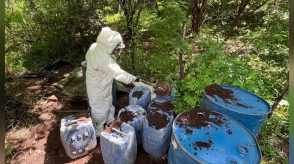 ¡De nuevo en Culiacán y Cosalá! Son destruidas cuatro áreas de concentración para elaborar droga