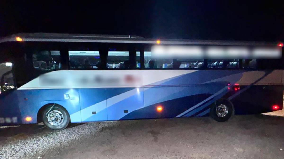 Aseguran 200 mil pastillas de fentanilo en autobús de Sonora